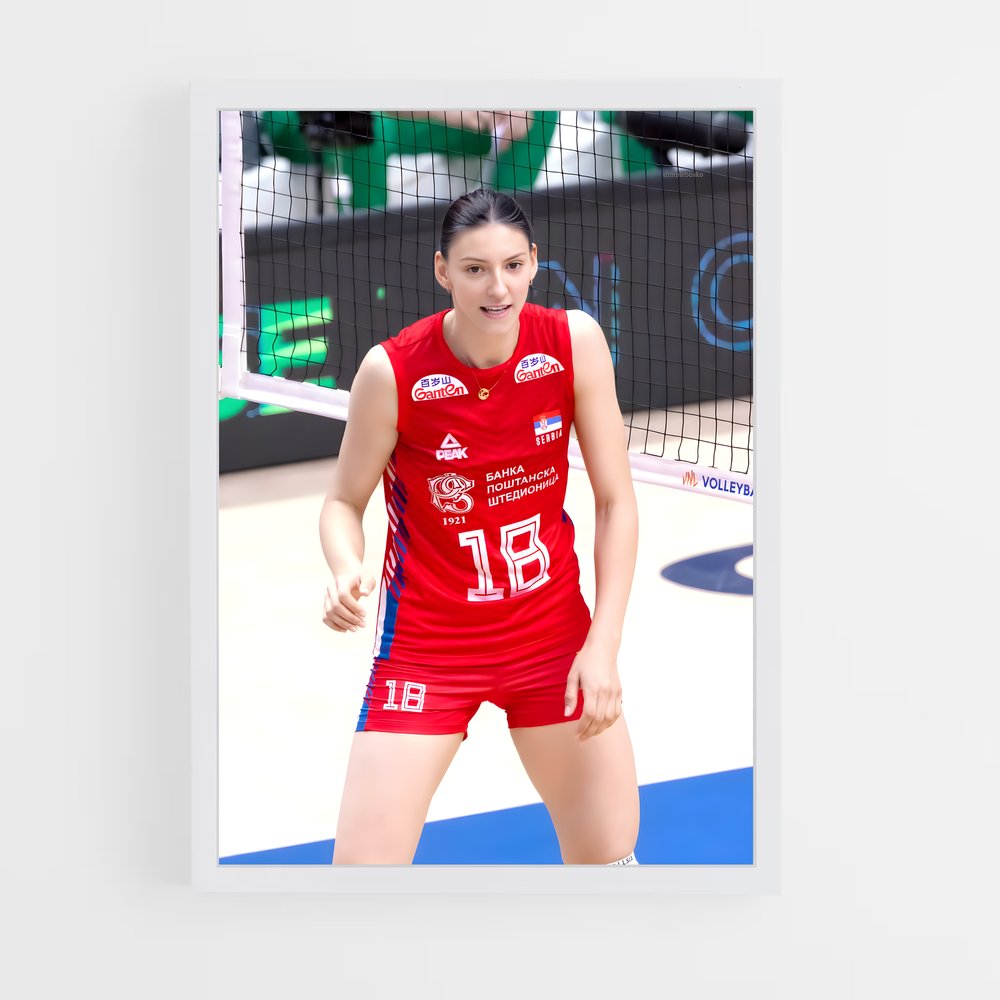 Poster Ace de Volleyball (vue 3)